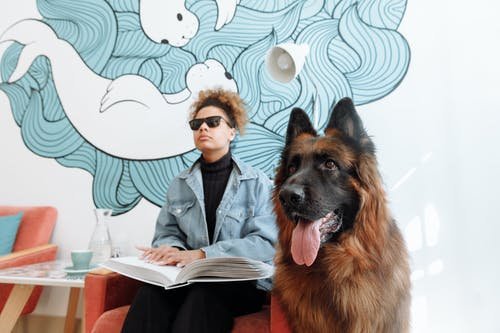 Pets in Rental Homes: A Guide for Pahrump Tenants
